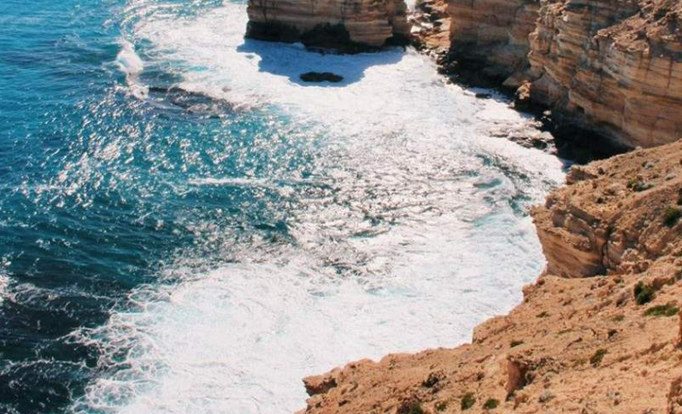 202602241152-1001617521.png image.png