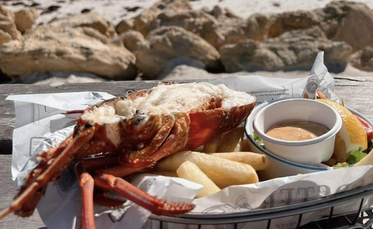 202602241152-2153462497.png image.png