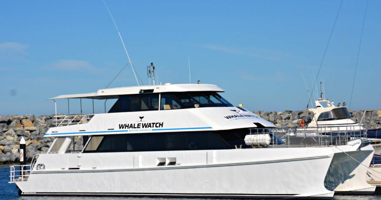 202602241320-3188049691.png image.png