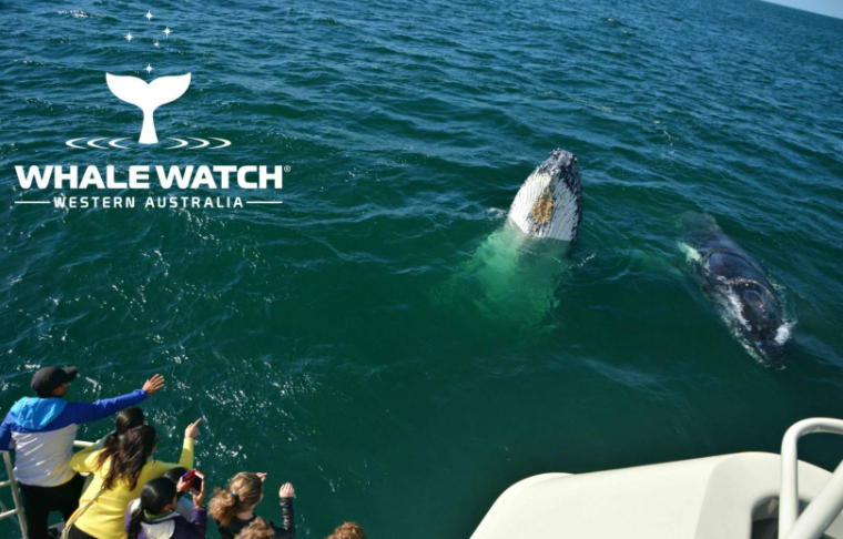 202602241320-4783995640.png image.png