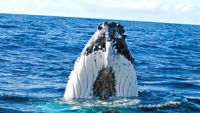 202602241321-5509841992.png image.png