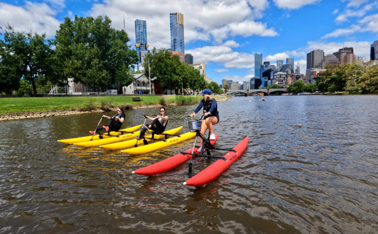 202602241326-8144763502.png image.png