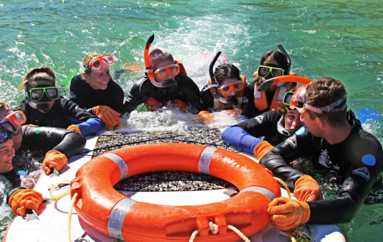 202602241329-2809660566.png image.png