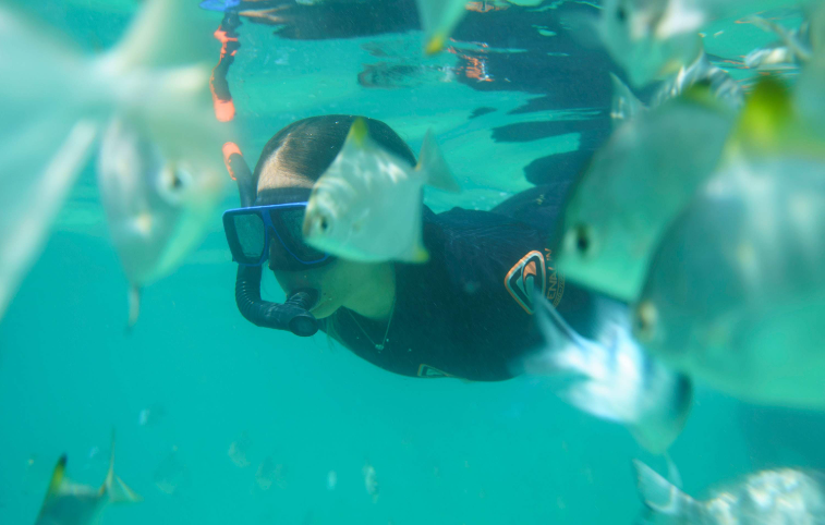 202602241331-2808037972.png image.png