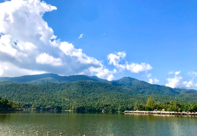 202602241403-6052443666.png image.png