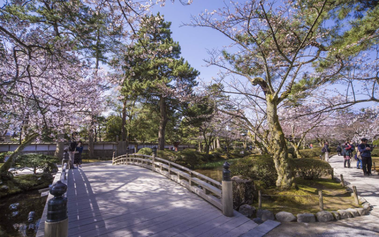 202602241417-9145377594.png image.png