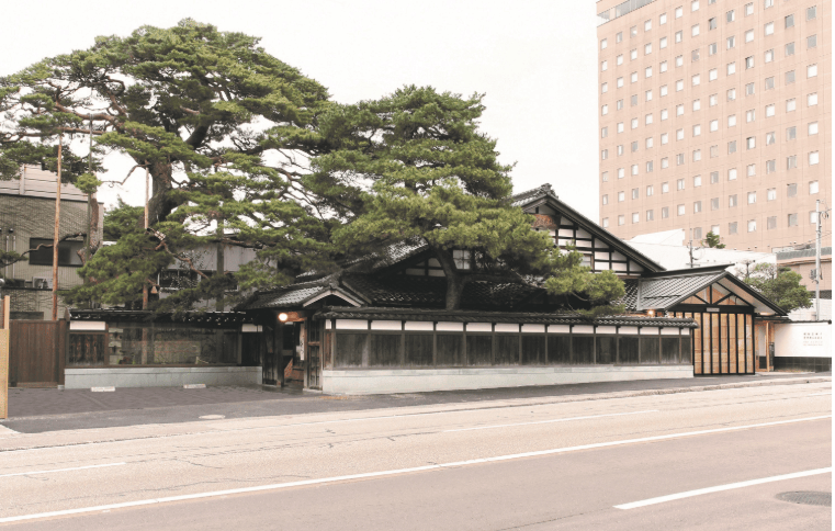 202602241418-1974158743.png image.png