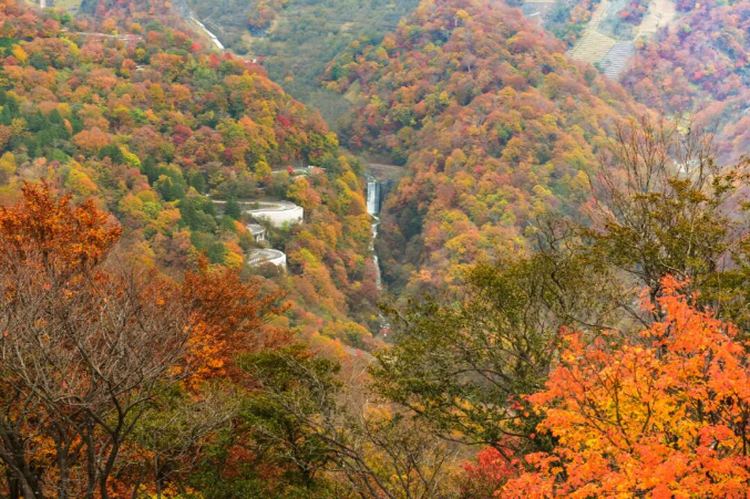 202602241538-1626785794.png image.png