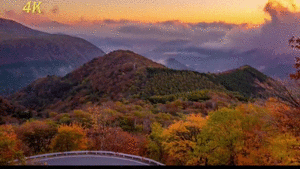 202602241538-5179442198.jpg 微信图片_2026-02-24_153753_349.jpg