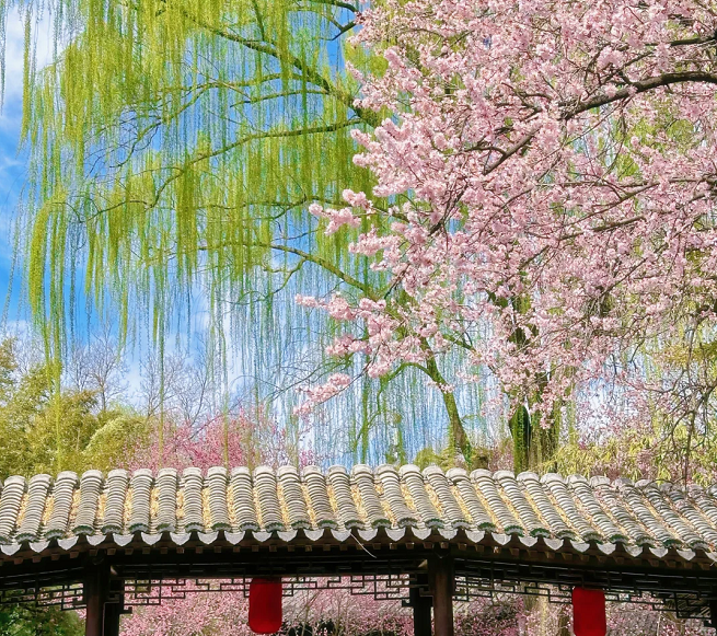 202602241644-6891254990.png image.png