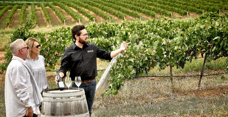 202602250929-1199505087.png image.png