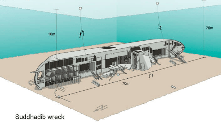 202602251040-8663778467.png image.png