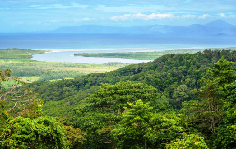 202602251452-2059330772.png image.png