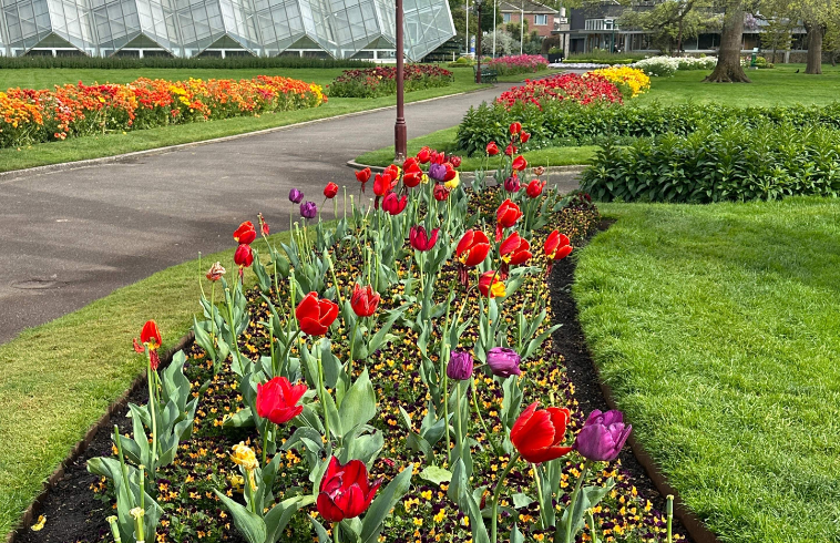 202602251545-6172323024.png image.png