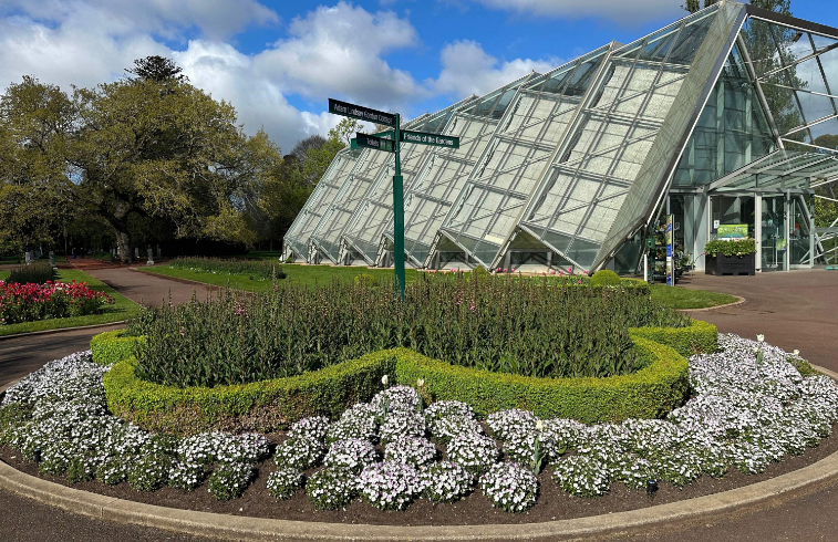 202602251550-5265696674.png image.png