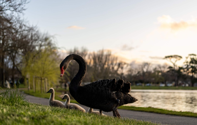 202602251552-5592647295.png image.png