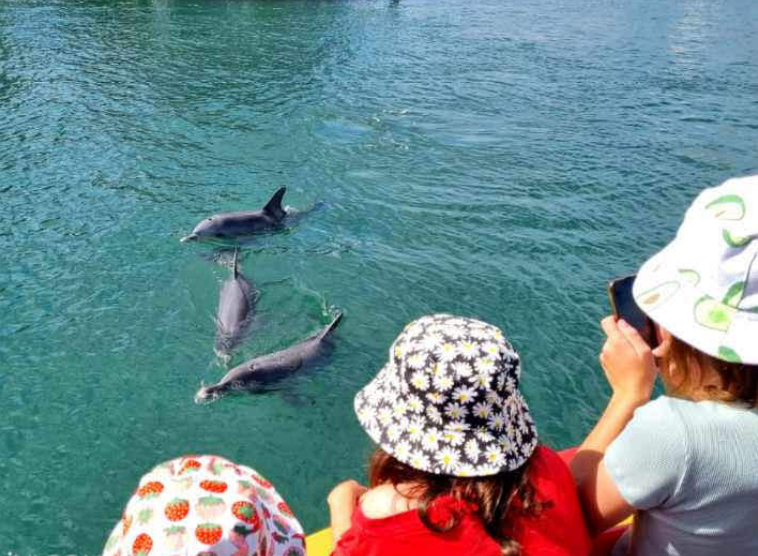 202602251555-1074360104.png image.png