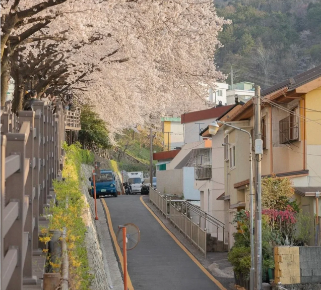 202602251632-5685295891.png image.png