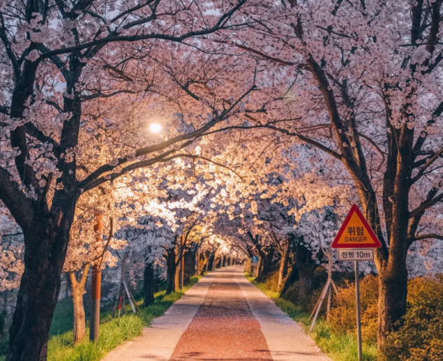 202602251632-9594444678.png image.png