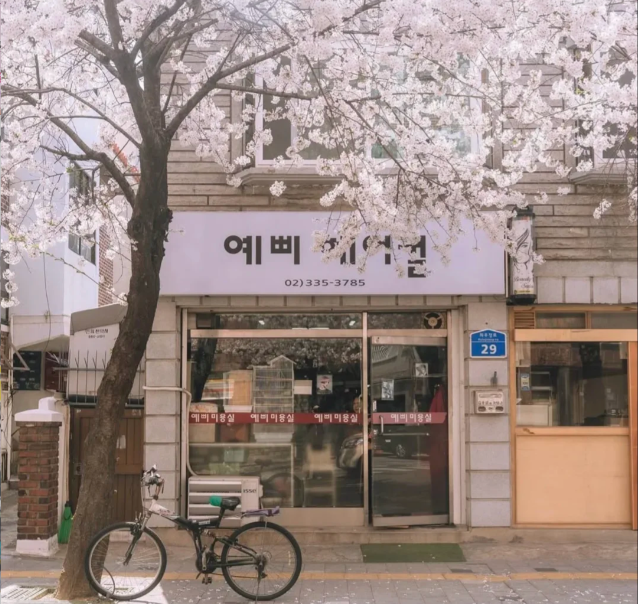 202602251633-4908308608.png image.png