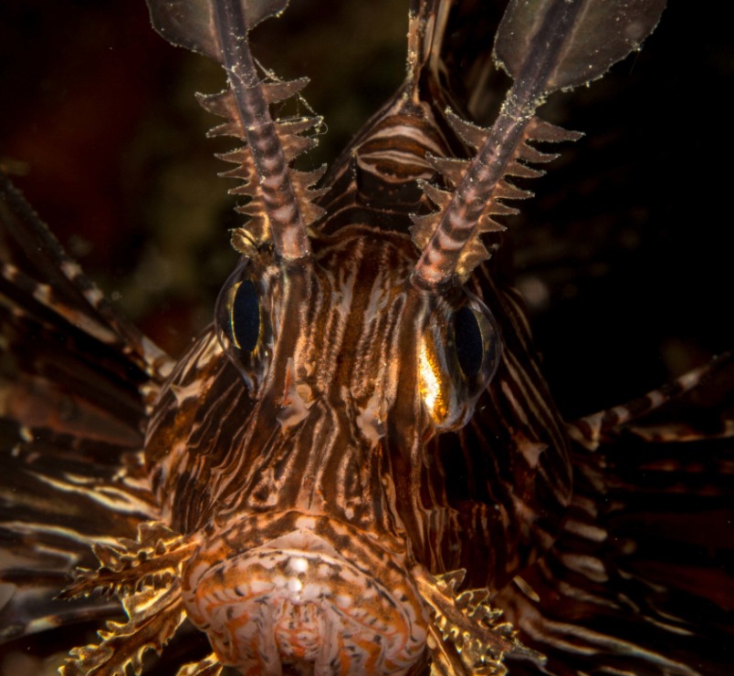 202602251639-4085046315.jpg 202602251639-4085046315.jpg