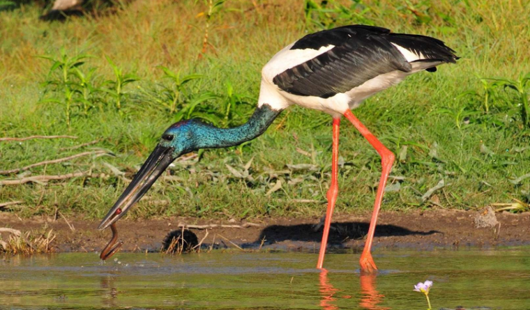 202602251641-2241993526.png image.png