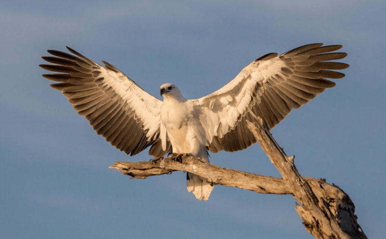 202602251642-4472481436.png image.png