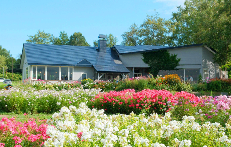 202602251725-3762420286.png image.png