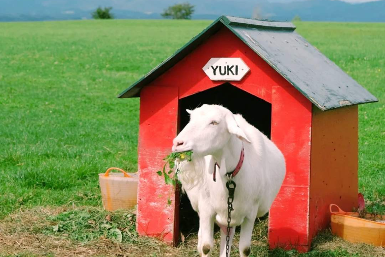 202602251725-4936958957.png image.png