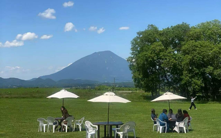 202602251726-9918539196.png image.png