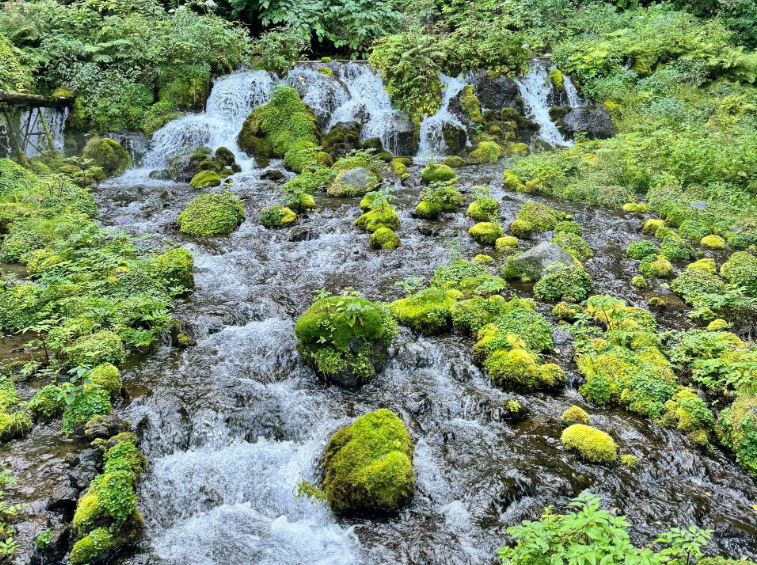 202602251726-9996014508.png image.png