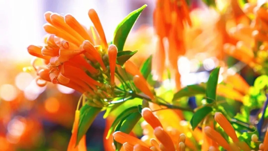 微信图片_2026-02-25_173128_918 (1).jpg