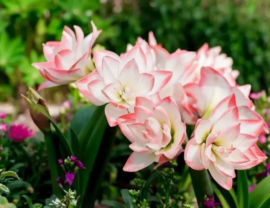 微信图片_2026-02-25_173054_846 (1).jpg