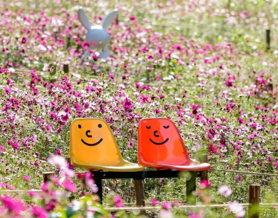 微信图片_2026-02-25_173107_454 (1).jpg