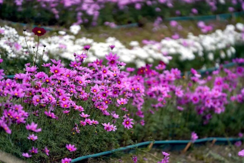 微信图片_2026-02-25_173225_807 (1).jpg