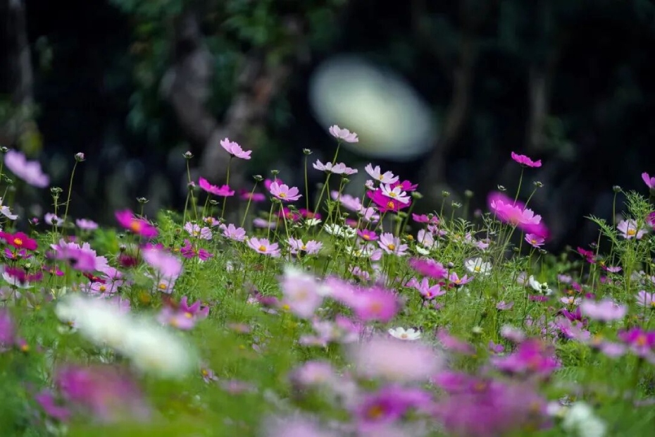 微信图片_2026-02-25_173215_991 (1).jpg