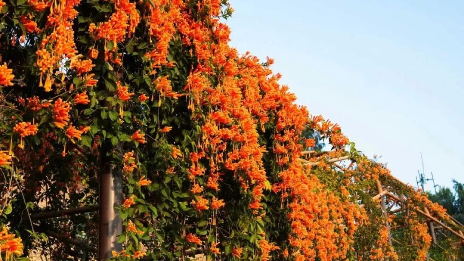 微信图片_2026-02-25_173136_479 (1).jpg