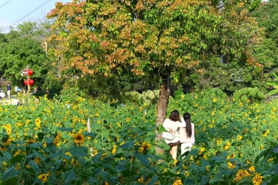 微信图片_2026-02-25_173200_975 (1).jpg