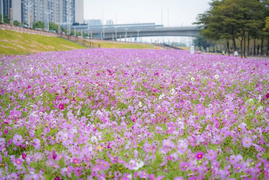 202602251746-5501225186.jpg 微信图片_2026-02-25_174438_016 (1).jpg