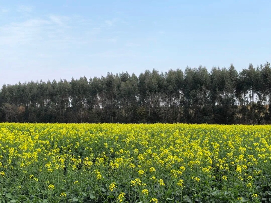 微信图片_2026-02-25_175444_049 (1).jpg