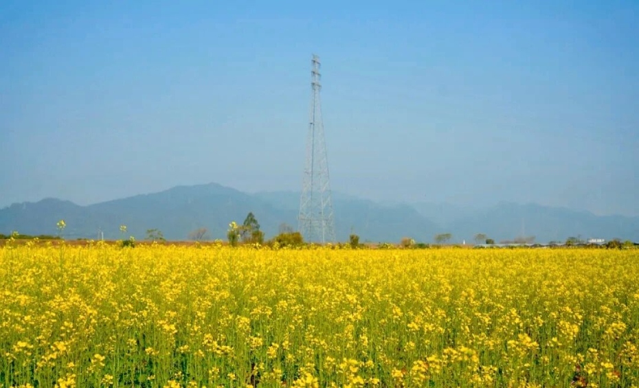 微信图片_2026-02-25_175434_665 (1).jpg