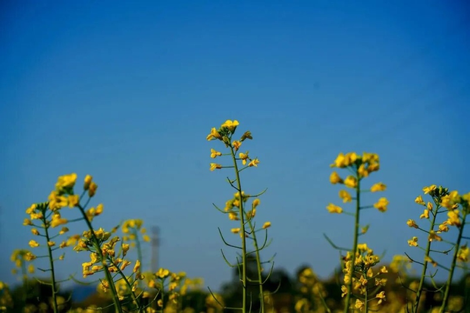 微信图片_2026-02-25_175501_105 (1).jpg