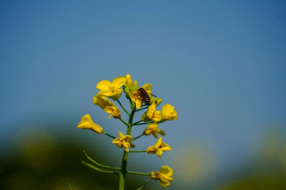 微信图片_2026-02-25_175514_897 (1).jpg