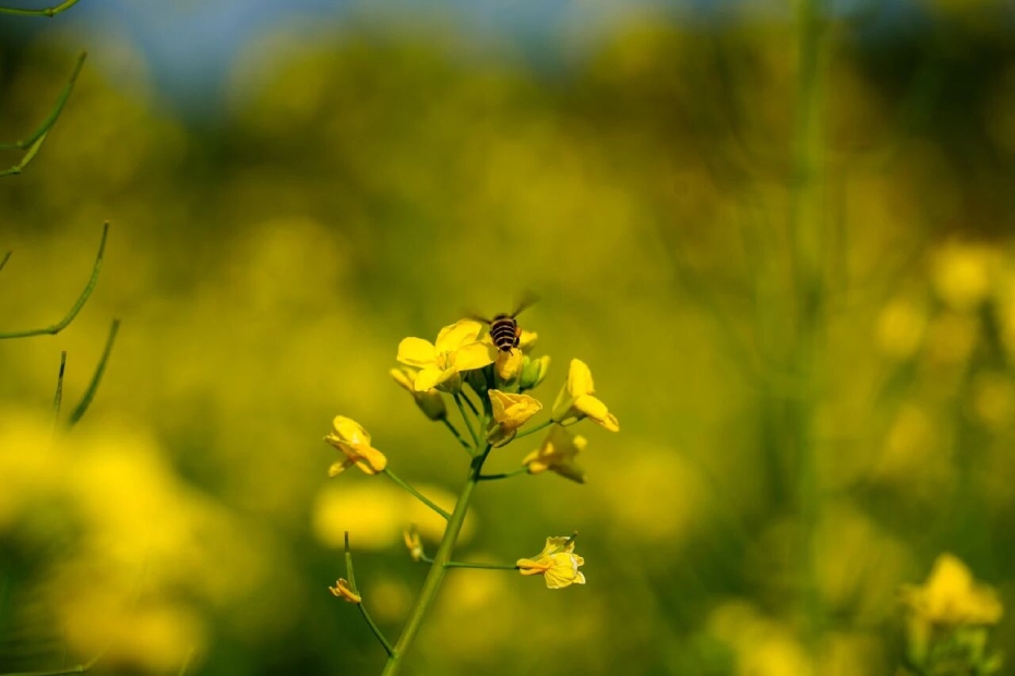 微信图片_2026-02-25_175510_497 (1).jpg