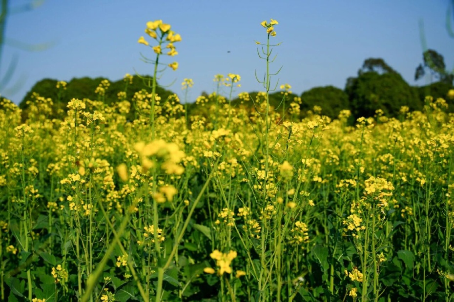 微信图片_2026-02-25_175518_745 (1).jpg