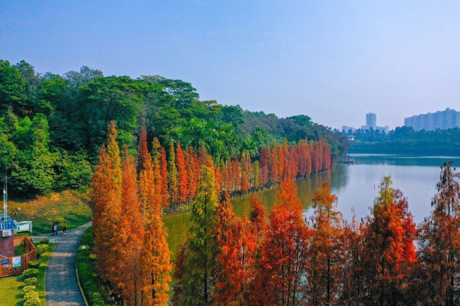 202602251820-2860020225.jpg 微信图片_2026-02-25_181701_380 (1).jpg