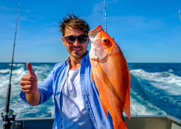 202602260927-9150478419.png image.png