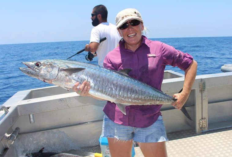 202602260928-9148787368.png image.png