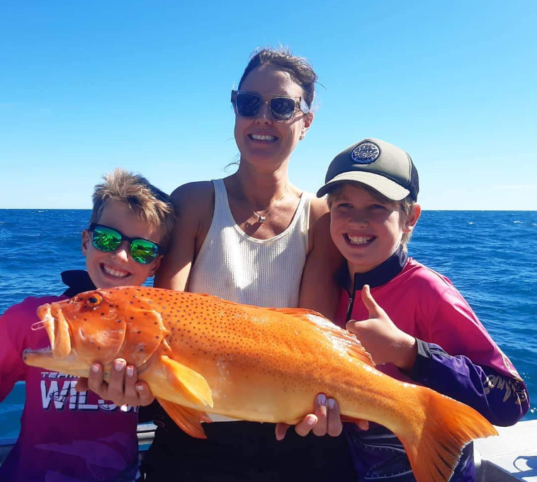 202602260929-9407357967.png image.png