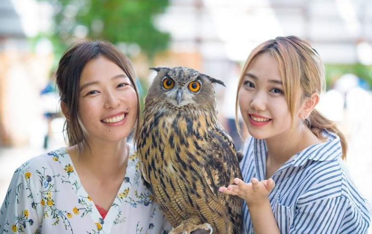 202602261442-1186249548.png image.png